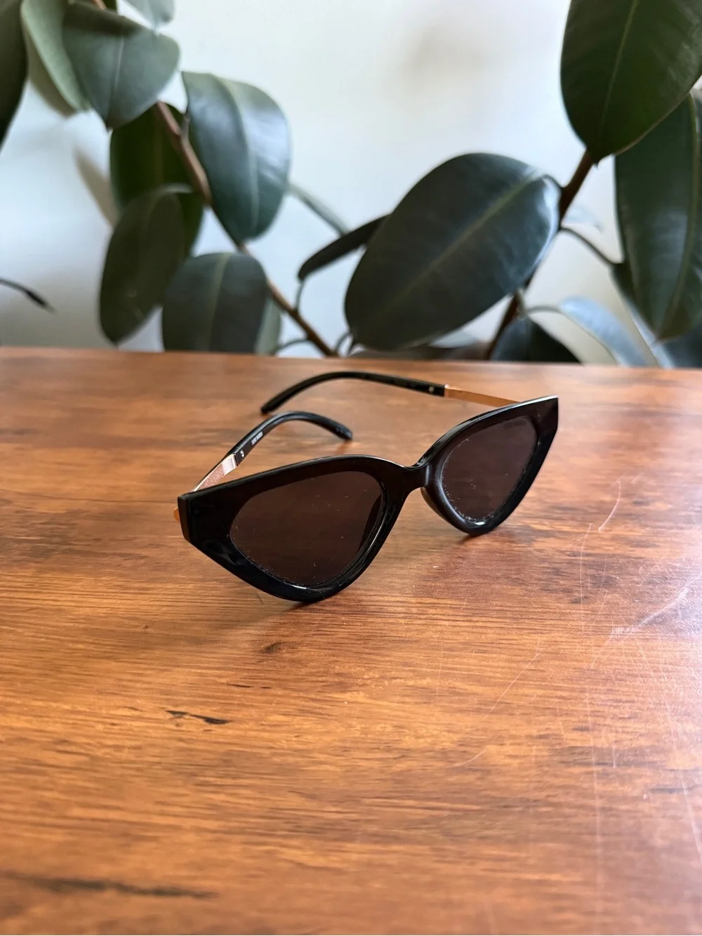 Black Cat-Eye Women's Sunglasses - Classic Style Steve Madden